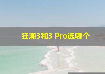 狂潮3和3 Pro选哪个